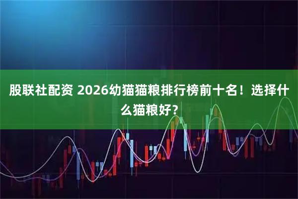 股联社配资 2026幼猫猫粮排行榜前十名！选择什么猫粮好？