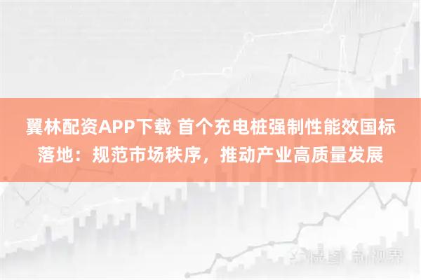 翼林配资APP下载 首个充电桩强制性能效国标落地：规范市场秩序，推动产业高质量发展