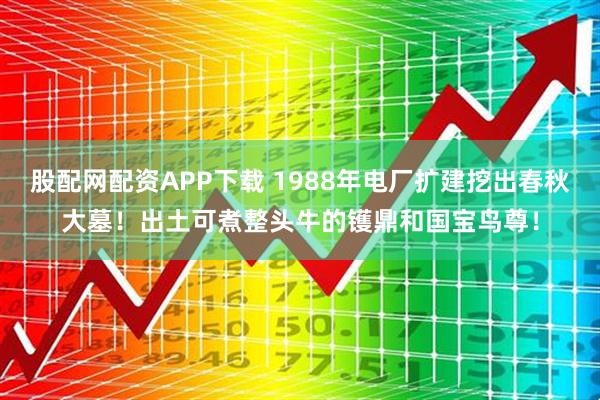 股配网配资APP下载 1988年电厂扩建挖出春秋大墓！出土可煮整头牛的镬鼎和国宝鸟尊！