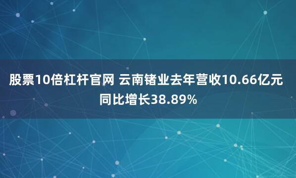 股票10倍杠杆官网 云南锗业去年营收10.66亿元 同比增长38.89%